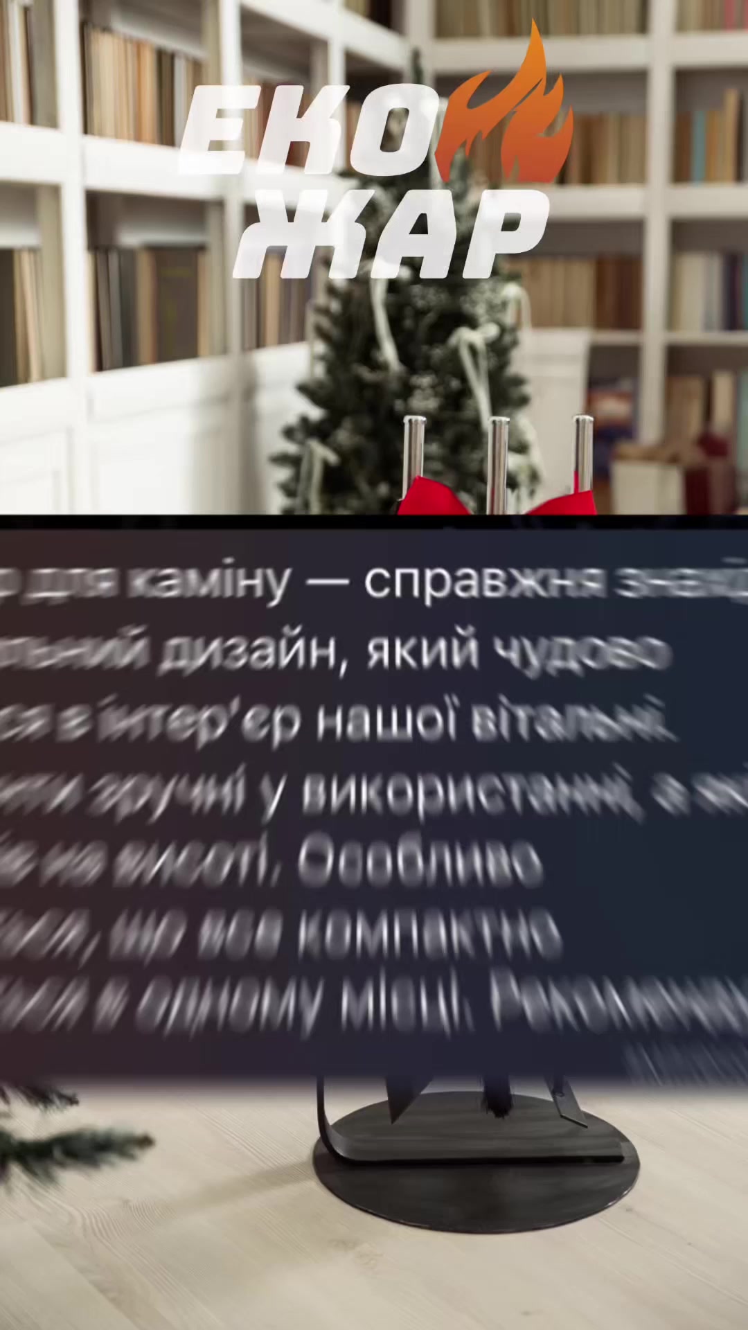 Video image 4